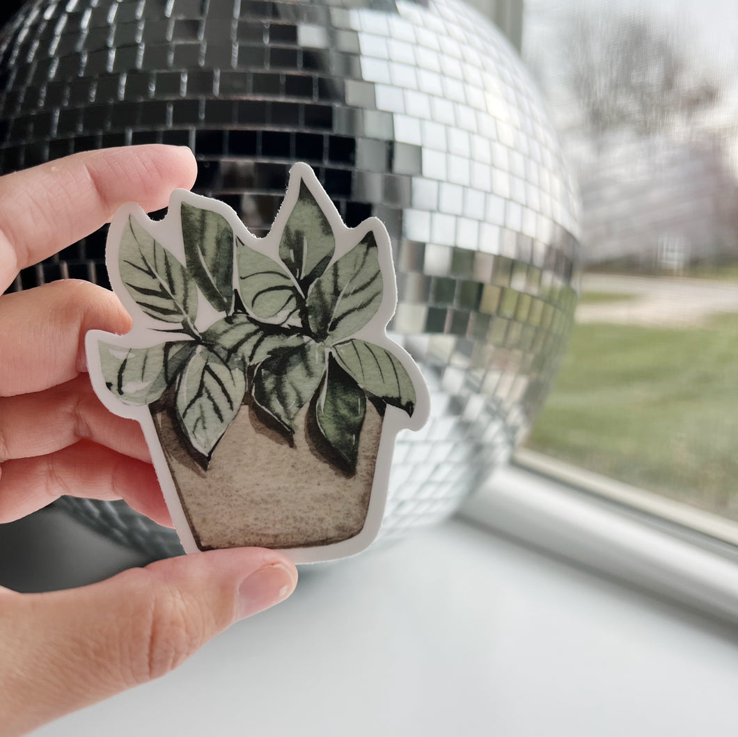Plant Sticker